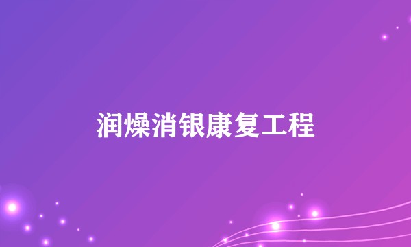 润燥消银康复工程