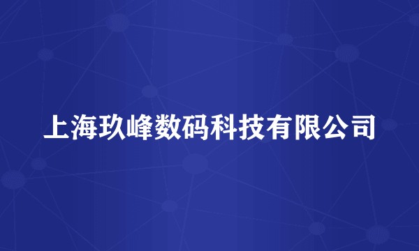 上海玖峰数码科技有限公司