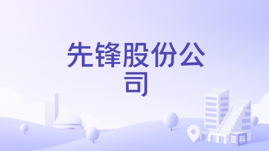 先锋股份公司