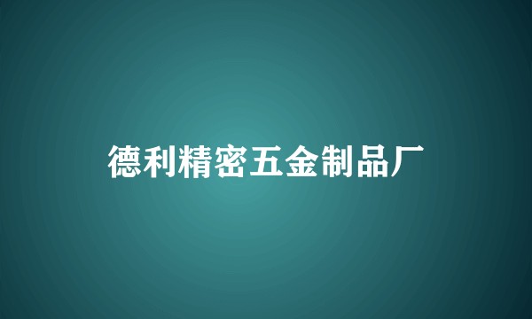 德利精密五金制品厂