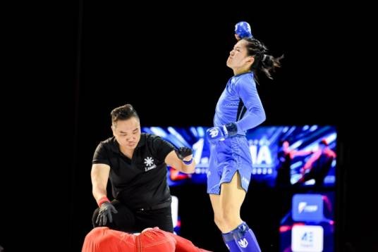 亚洲综合武道公开赛