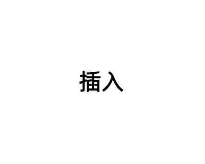 插入（信息技术名词）