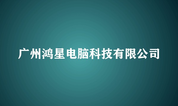 广州鸿星电脑科技有限公司