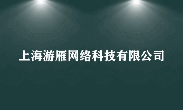 上海游雁网络科技有限公司