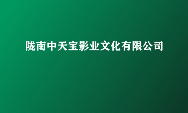陇南中天宝影业文化有限公司