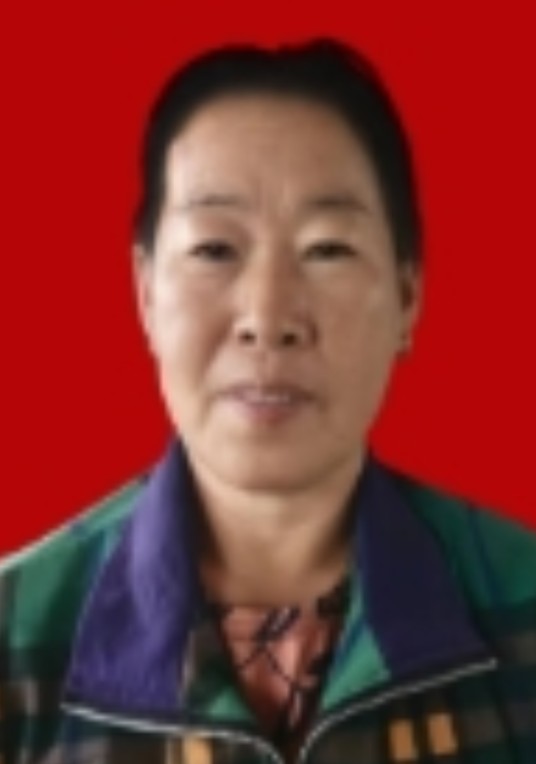 王丽丽（黑龙江省哈尔滨市巴彦县镇东乡镇东村七马架四屯居民）