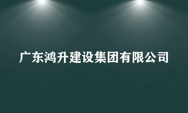 广东鸿升建设集团有限公司