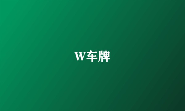 W车牌