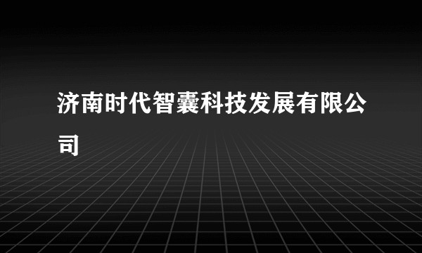 济南时代智囊科技发展有限公司