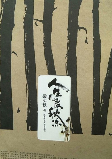 人生几度秋凉（2007年陕西师范大学出版社出版的图书）