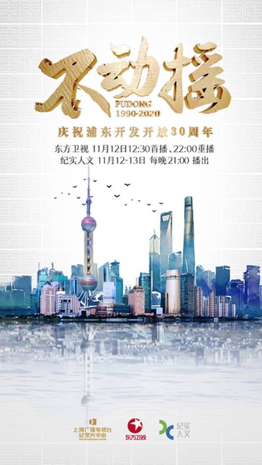 不动摇——庆祝浦东开发开放30周年