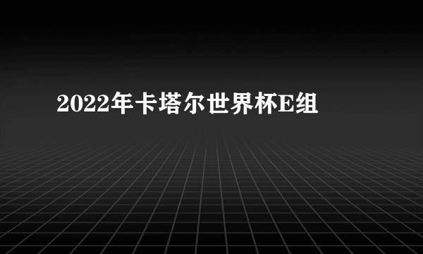 2022年卡塔尔世界杯E组
