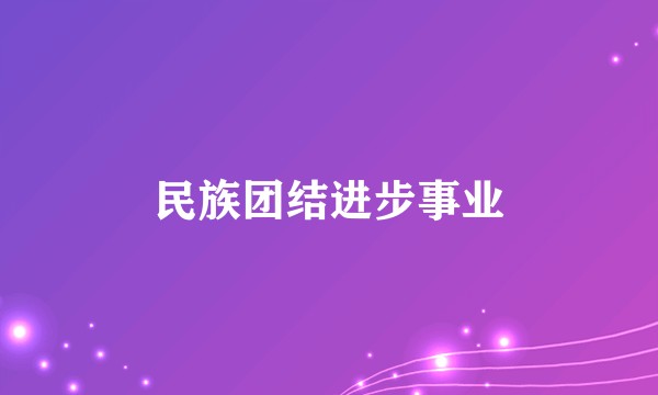 民族团结进步事业