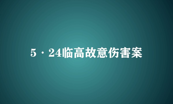 5·24临高故意伤害案
