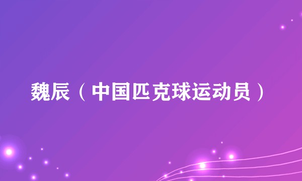 魏辰（中国匹克球运动员）