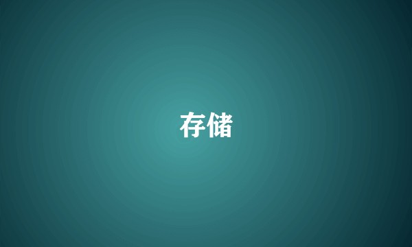 存储