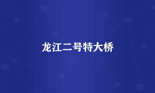 龙江二号特大桥