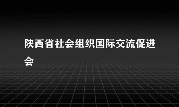 陕西省社会组织国际交流促进会
