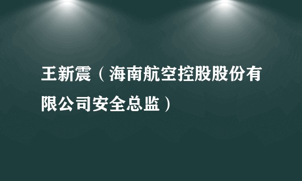 王新震（海南航空控股股份有限公司安全总监）
