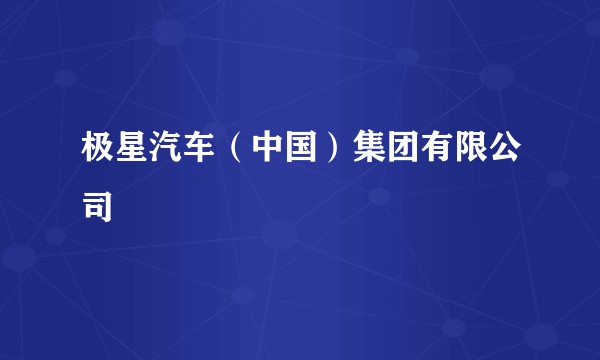 极星汽车（中国）集团有限公司