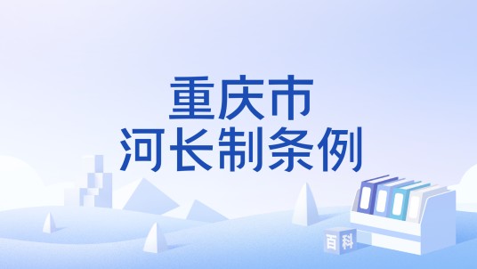 重庆市河长制条例