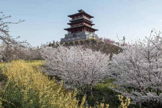 郑州园