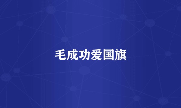 毛成功爱国旗
