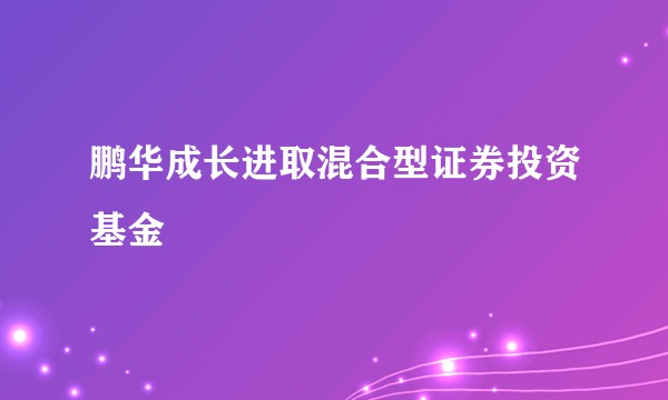 鹏华成长进取混合型证券投资基金