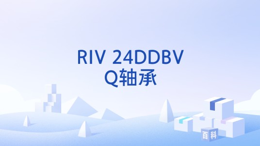 RIV 24DDBVQ轴承
