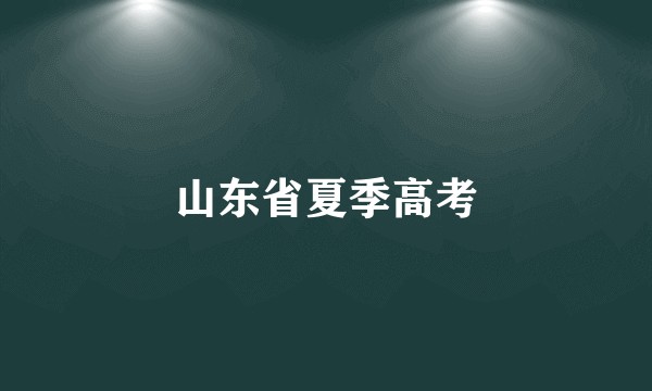 山东省夏季高考