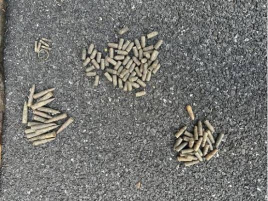 11·18新干市民钓上子弹事件