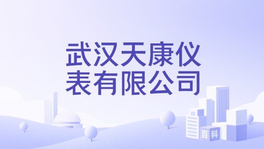 武汉天康仪表有限公司