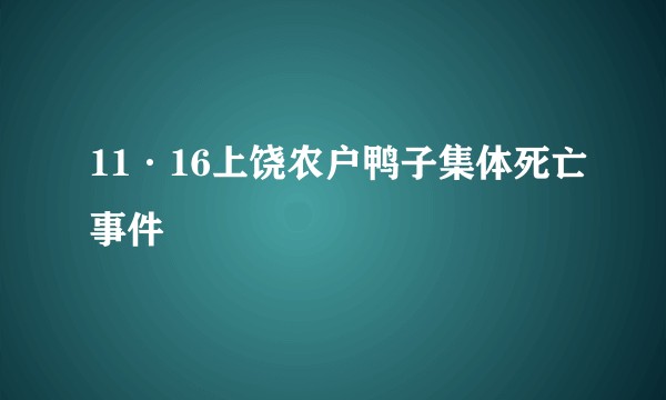 11·16上饶农户鸭子集体死亡事件