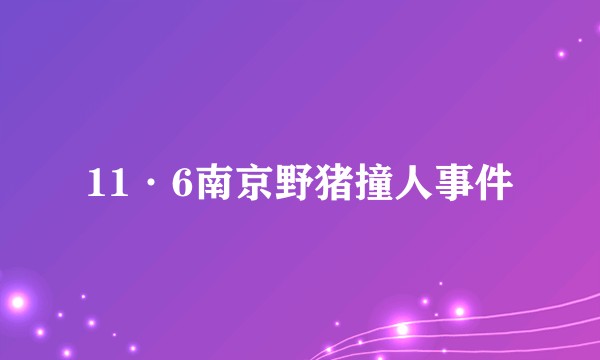 11·6南京野猪撞人事件