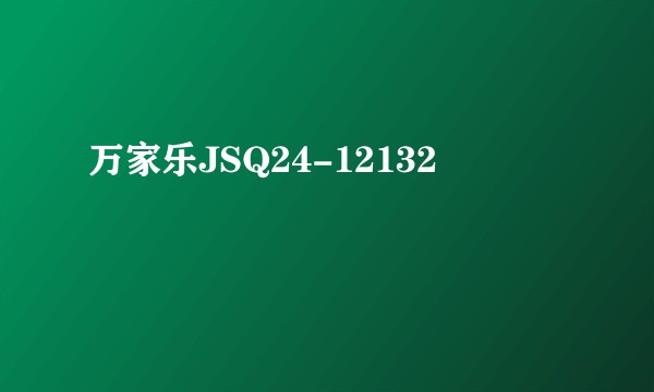 万家乐JSQ24-12132