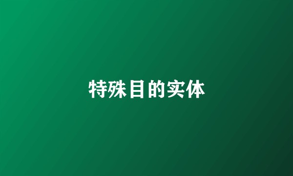 特殊目的实体