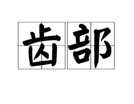齿部