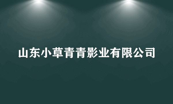 山东小草青青影业有限公司