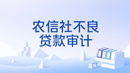 农信社不良贷款审计
