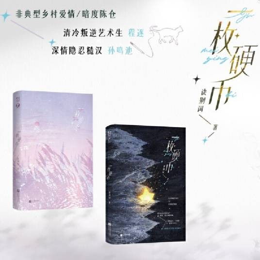 一枚硬币（2024年江苏凤凰文艺出版社出版的图书）