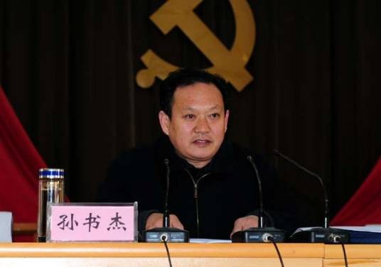 孙书杰（河南省尉氏县县委常委）
