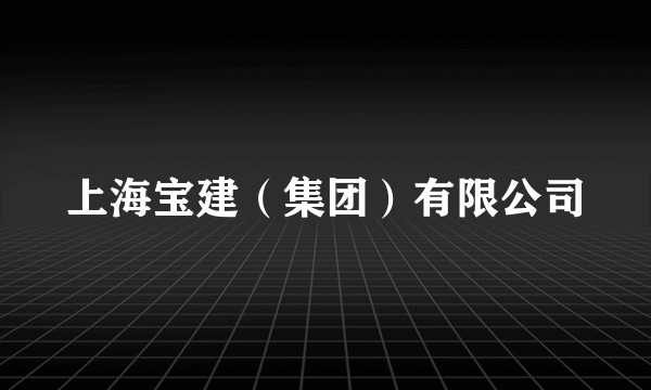 上海宝建（集团）有限公司