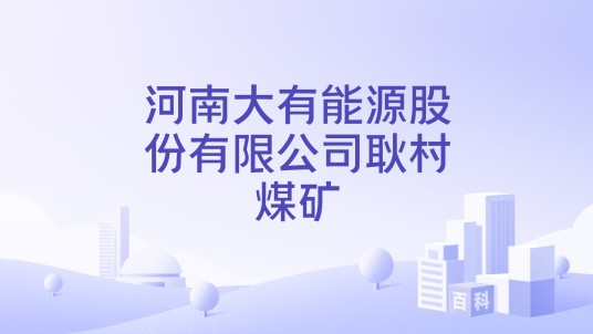 河南大有能源股份有限公司耿村煤矿