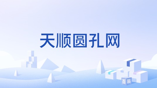 天顺圆孔网