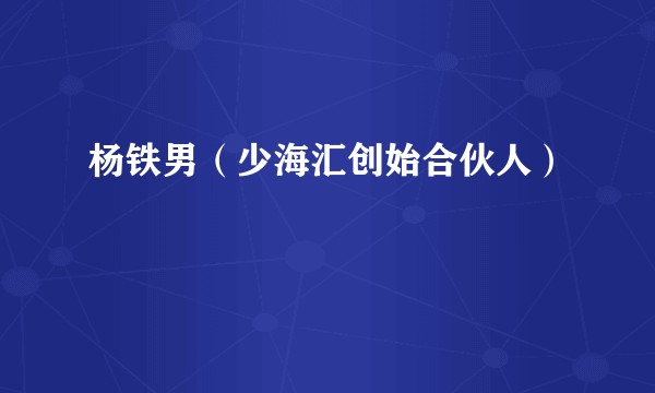 杨铁男（少海汇创始合伙人）