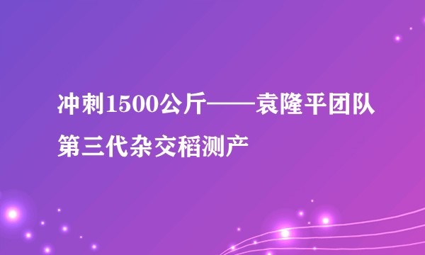 冲刺1500公斤——袁隆平团队第三代杂交稻测产