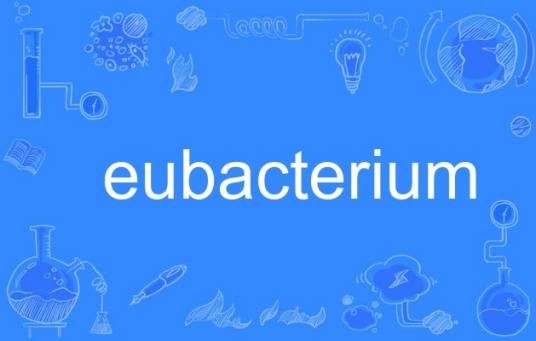 eubacterium