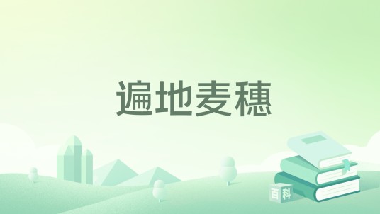 遍地麦穗