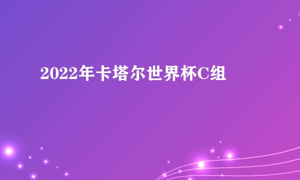 2022年卡塔尔世界杯C组