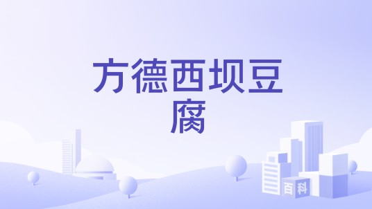 方德西坝豆腐